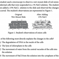 Unit 4 ap biology practice test