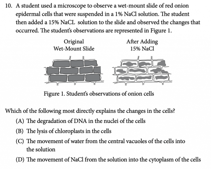 Unit 4 ap biology practice test