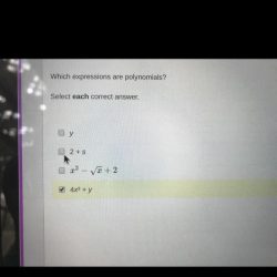 20x expressions correct polynomials each