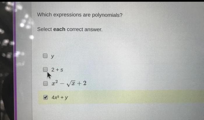 20x expressions correct polynomials each